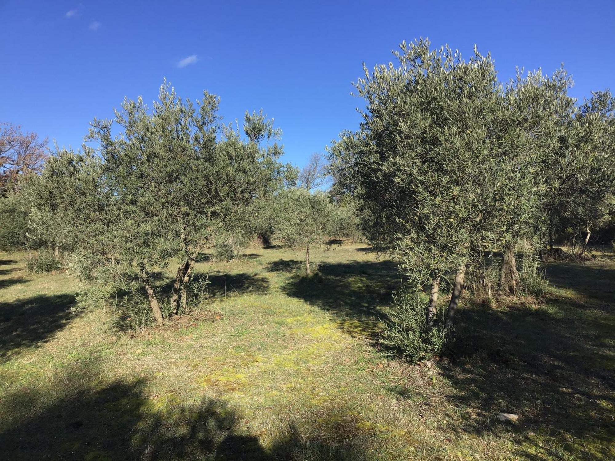 Le Verger Gordes Exterior photo